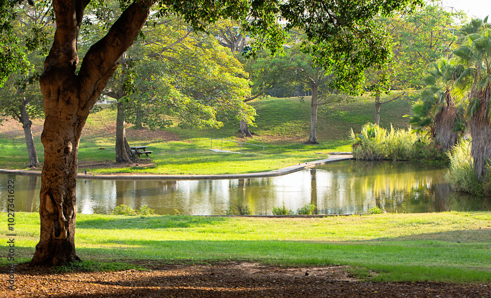 Edith wolfson park lake outdoors