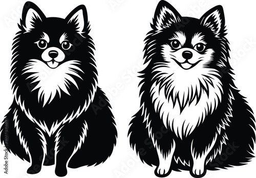 Portrait of a Pomeranian Dog Vector isolated on white background Dog Silhouettes.