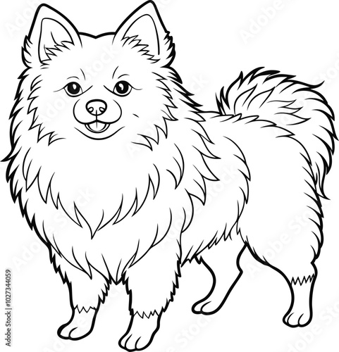 Cute pomeranian dog sketch hand drawn in Vector illustration.