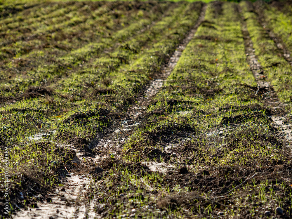Feuchter Acker nach vielem Regen Feuchter Acker nach vielem Regen
