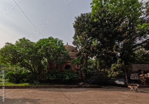 Shahbaz Khan Mosque visible from its surrounding landscape photo