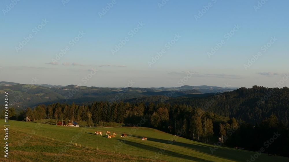 Almen im Wechselland, Niederösterreich Almen im Wechselland, Niederösterreich