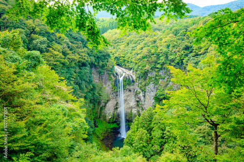 夏の福貴野の滝　大分県宇佐市　Fukino Falls in summer. Ooita Pref, Usa City.