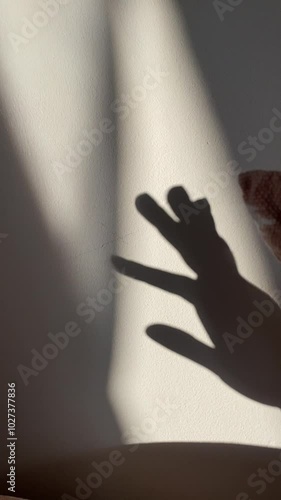 silhouette of hands