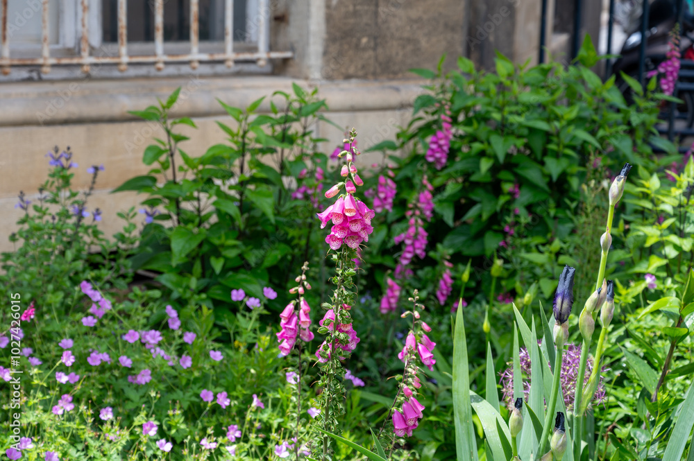 Urban gardens design, colorful blossom of wild flowers, bees friendly environment in big city, embarkment of Bordeaux on Garonne river, France Urban gardens design, colorful blossom of wild flowers, bees friendly environment in big city, embarkment of Bordeaux on Garonne river, France