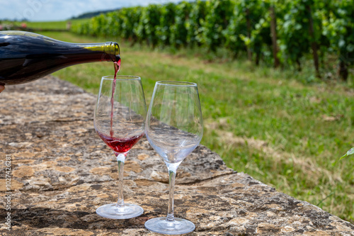 Tasting of red pinot noir wine on grand cru vineyards with cross and stone walls in Cote de nuits, making of famous red and white Burgundy wine in Burgundy region, Vosne-Romanee village photo