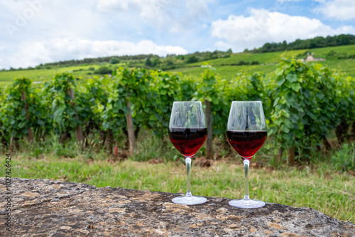 Tasting of red pinot noir wine on grand cru vineyards with cross and stone walls in Cote de nuits, making of famous red and white Burgundy wine in Burgundy region, Vosne-Romanee village photo