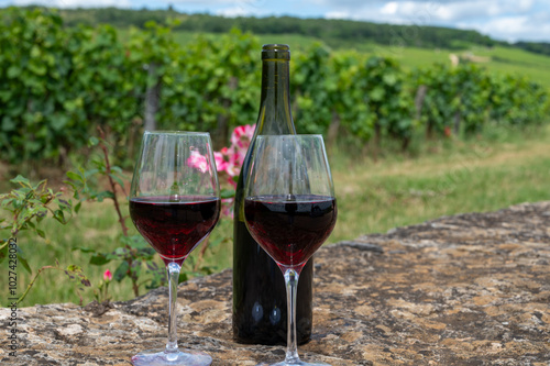 Tasting of red pinot noir wine on grand cru vineyards with cross and stone walls in Cote de nuits, making of famous red and white Burgundy wine in Burgundy region, Vosne-Romanee village photo