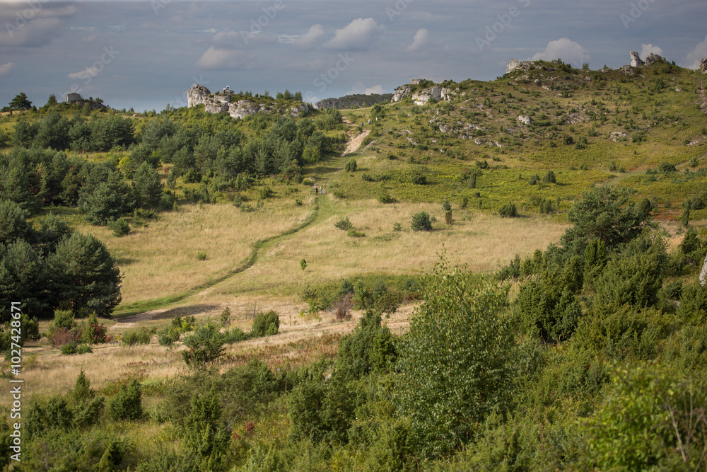 Skały. Jura Krakowsko-Częstochowska. Skały Olsztyńskie. Rezerwat Sokole Góry Skały. Jura Krakowsko-Częstochowska. Skały Olsztyńskie. Rezerwat Sokole Góry