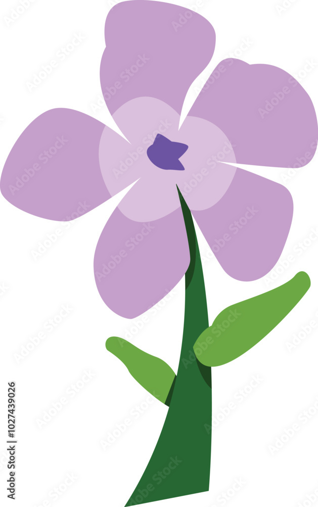 Flat design Flower Illustration Vector Flat design Flower Illustration Vector