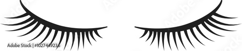 This artwork features a pair of elegantly styled black eyelashes perfect for enhancing beauty related content. The design is minimalist and striking.