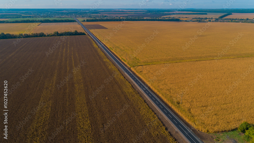 Aerial view beautiful summer nature landscape on a sunny day. Drone shot new road asphalt between a field of wheat and sunflower Aerial view beautiful summer nature landscape on a sunny day. Drone shot new road asphalt between a field of wheat and sunflower