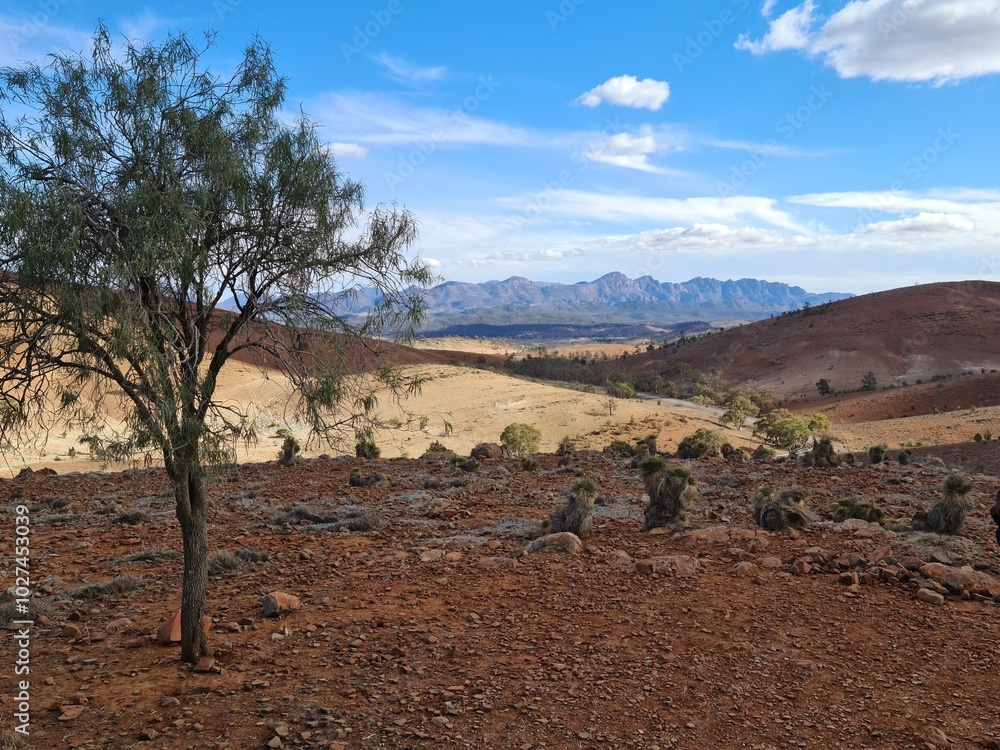 Naklejka premium Tree and mountains