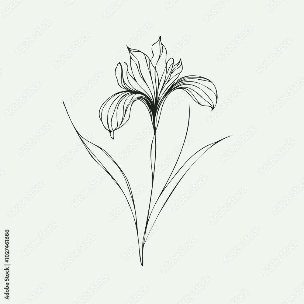Obraz premium Adobe Illustrator Artwork set of contour irises spring flowers, line art floral, leaves black and white illustration iris, set of decorative elements of plants stylized