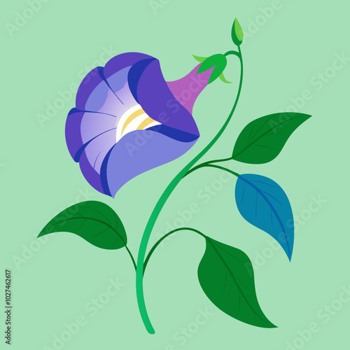 vector illustration of a butterfly pea flower
