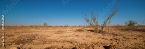 A wide, desolate landscape stretches out beneath a clear, blue sky, devoid of vegetation and life, embodying resilience and emptiness. photo