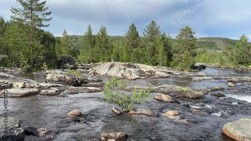 River runs over rocks in a forest