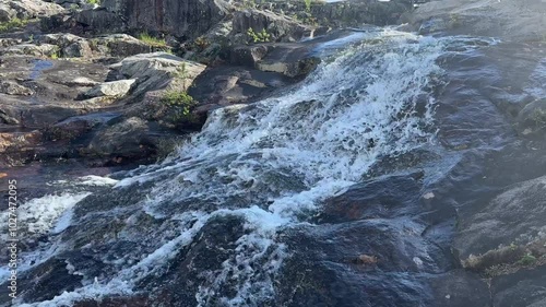 River runs over rocks in a forest