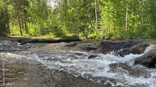 River runs over rocks in a forest