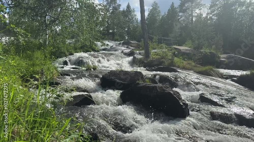 River runs over rocks in a forest