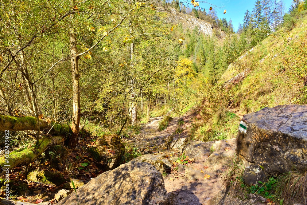 Mountain gorge in autumn time.
Homole gorge in Pieniny mountains, Poland. Mountain gorge in autumn time.
Homole gorge in Pieniny mountains, Poland.
