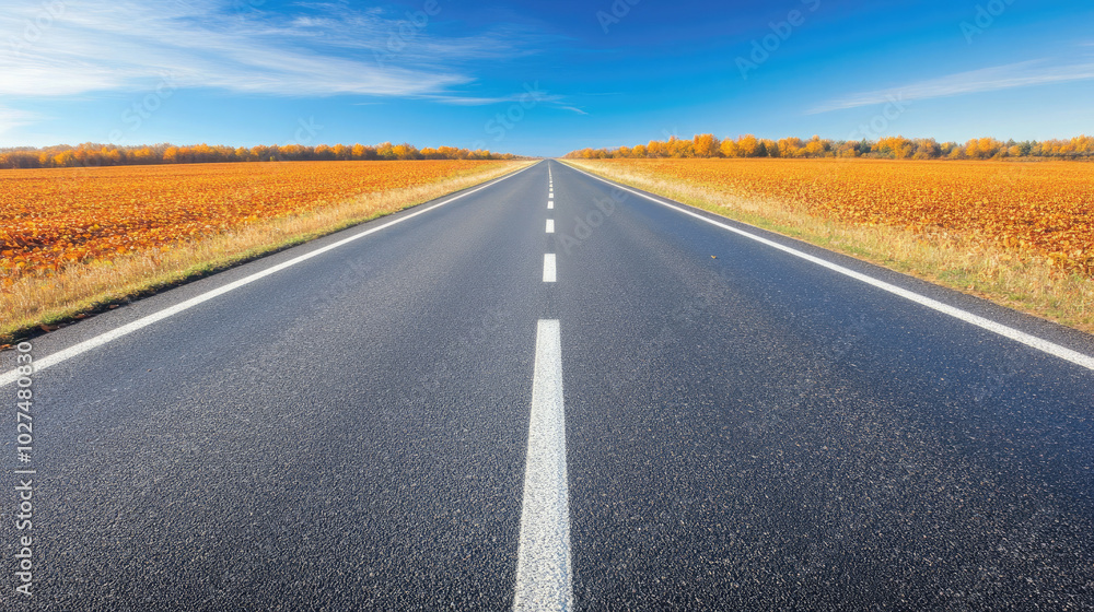 Autumnal Road with Golden Fields and Crisp Blue Sky Autumnal Road with Golden Fields and Crisp Blue Sky