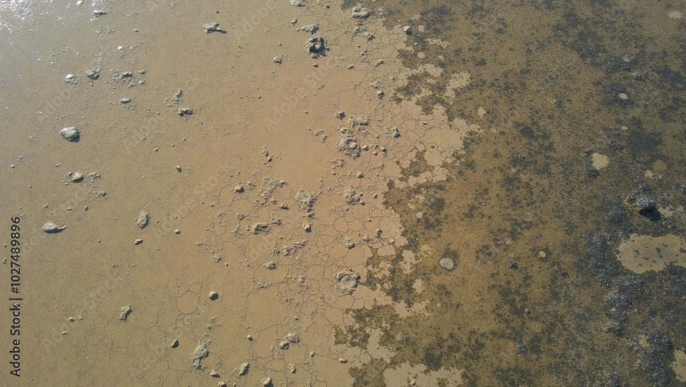 Aerial view of tidal flat with intricate sand patterns at low tide Aerial view of tidal flat with intricate sand patterns at low tide