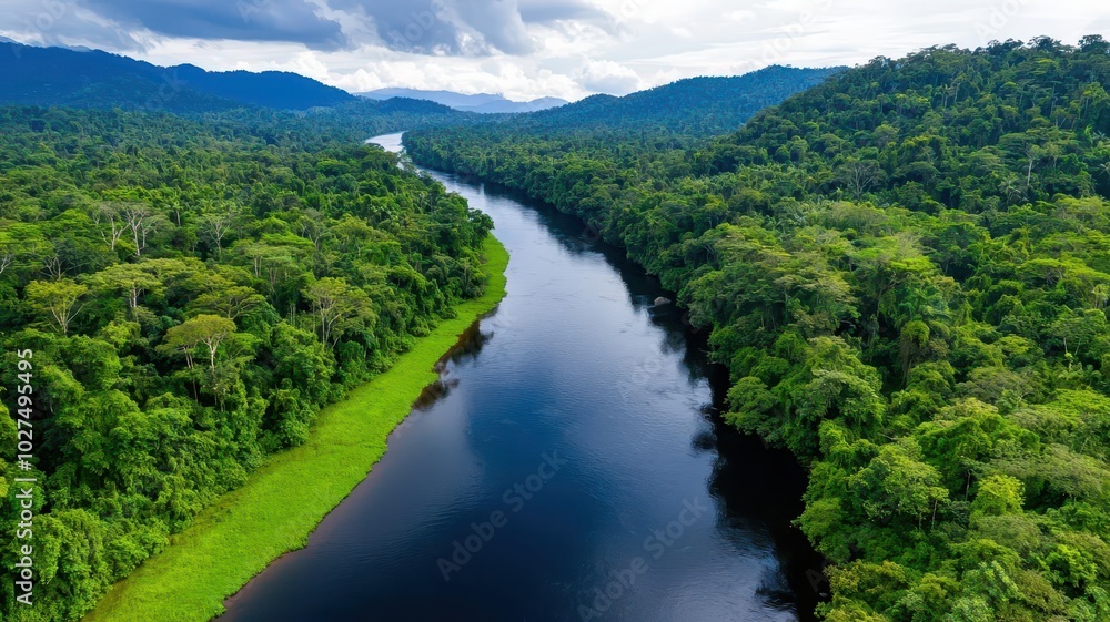 Small river winding through a dense, tropical jungle, with clear water reflecting the dense vegetation and towering trees Small river winding through a dense, tropical jungle, with clear water reflecting the dense vegetation and towering trees