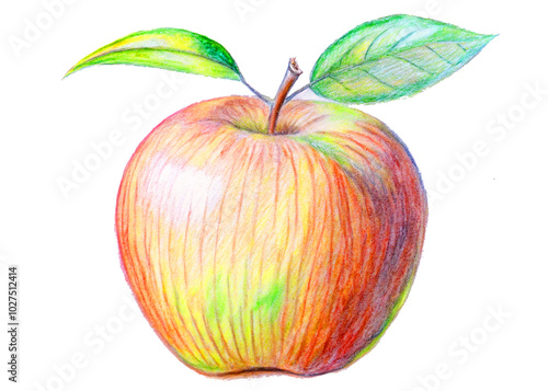 Red-apple with leaf, colored pencil drawing,