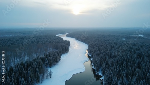 Wallpaper Mural Expansive Russian taiga with coniferous forests frozen lakes and rivers from above Torontodigital.ca