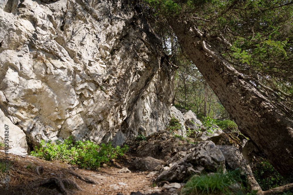 Obraz premium Wanderweg