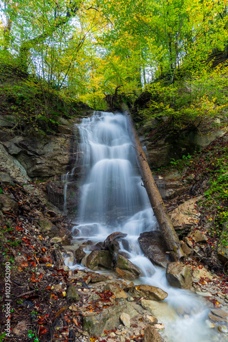 Forgotten waterfall in the woods