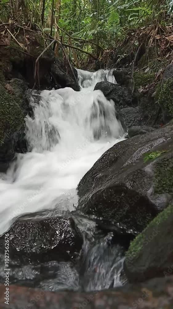 gurling river flow in the forest videos high quality gurling river flow in the forest videos high quality