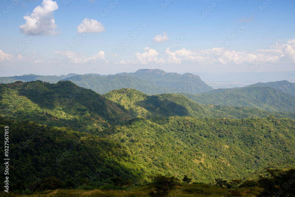 Obraz premium rain forest at Khao Kho, Phetchabun, Thailand