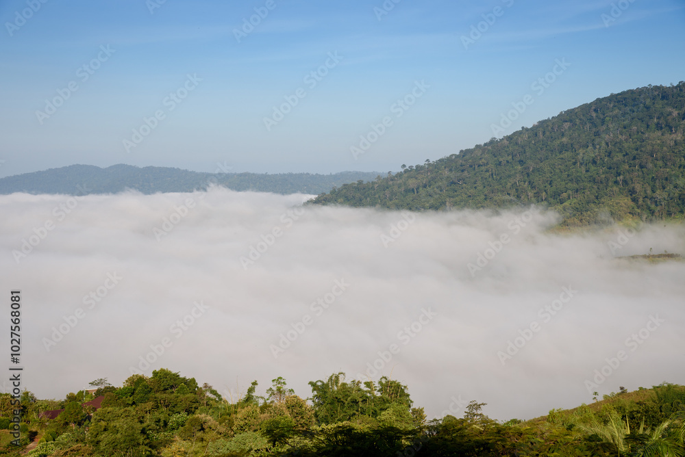 the mist at Khao Kho, Phetchabun, Thailand the mist at Khao Kho, Phetchabun, Thailand