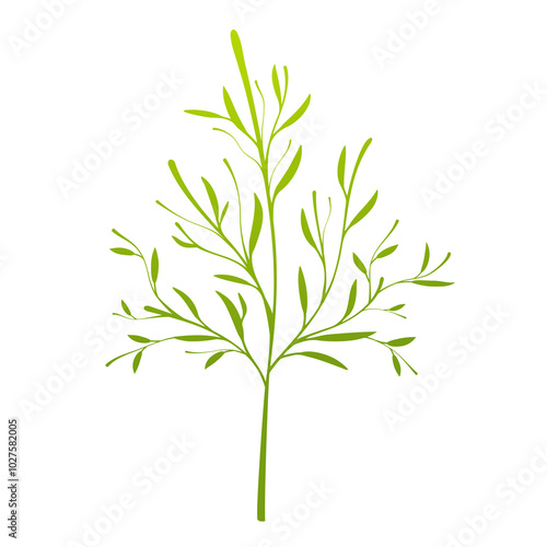 Abstract plant, grass over white background