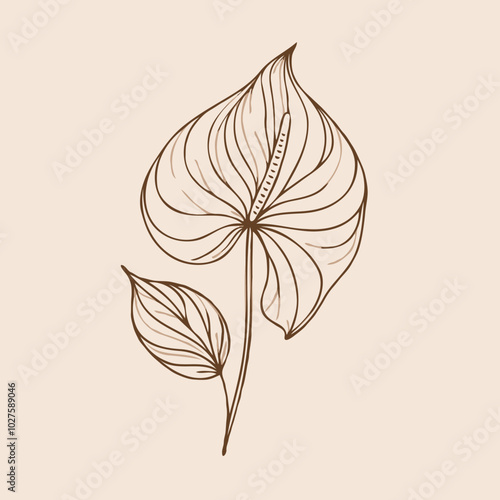 Adobe Illustrator Artwork
set of contour spring flowers Spathiphyllum
line art floral, leaves
black and white illustration Anthurium
set of decorative elements of plants stylized Aglaonema, Calla