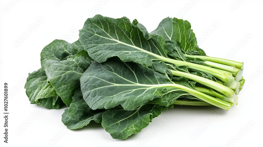 image of the collards green. on a white background image of the collards green. on a white background