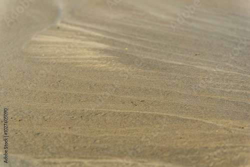 Sand in the river. Sort of like a background texture. photo