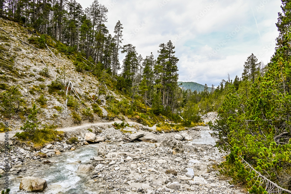 Obraz premium Zernez, Ofenpass, Bach, Ova dal Fuorn, Wanderweg, Uferweg, Passstrasse, Engadin, Nationalpark, Alpen, Herbst, Herbstfarben, Graubünden, Schweiz