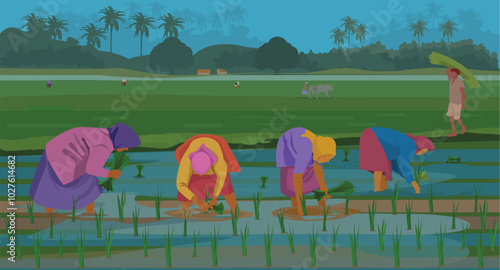 Indian farmers in rice fields. farmers working in agricultural land, workers in village