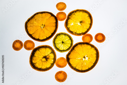 VEGETALES RETROILUMINADOS