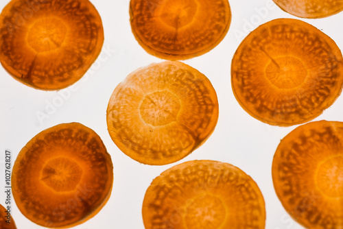 VEGETALES RETROILUMINADOS