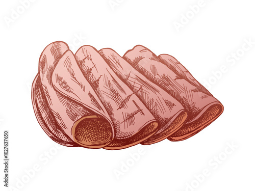 Hand-drawn colored vector sketch of  pork meat, ham slice, prosciutto vintage sketch. Butcher shop.