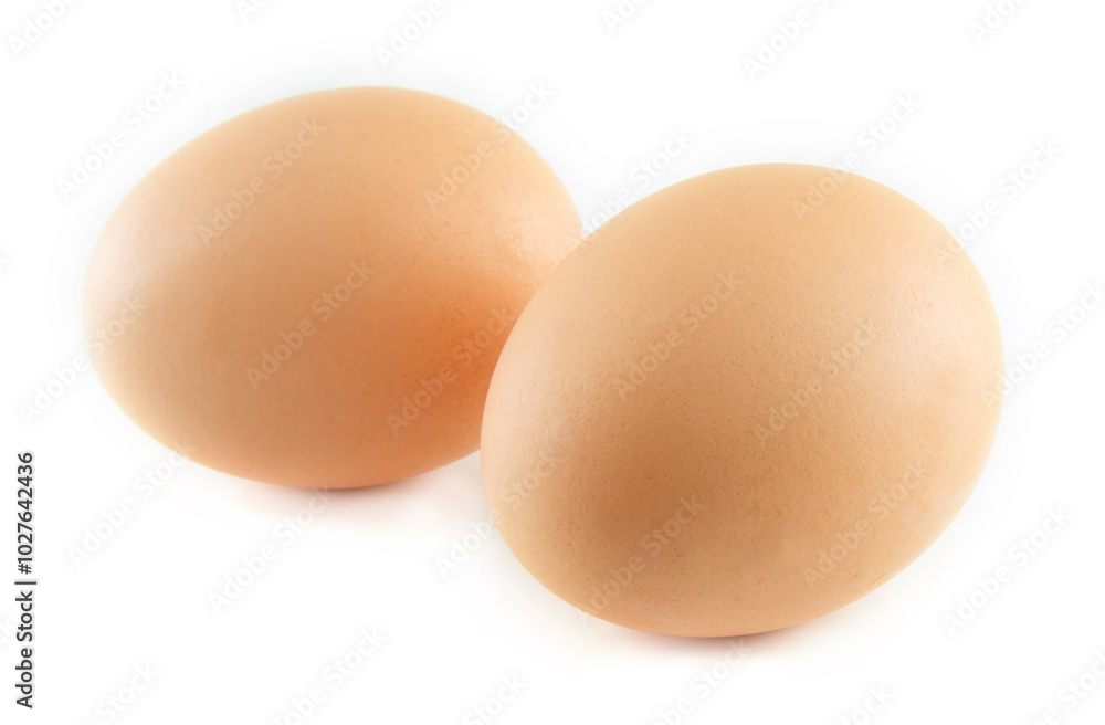 two eggs are isolated on a white background two eggs are isolated on a white background