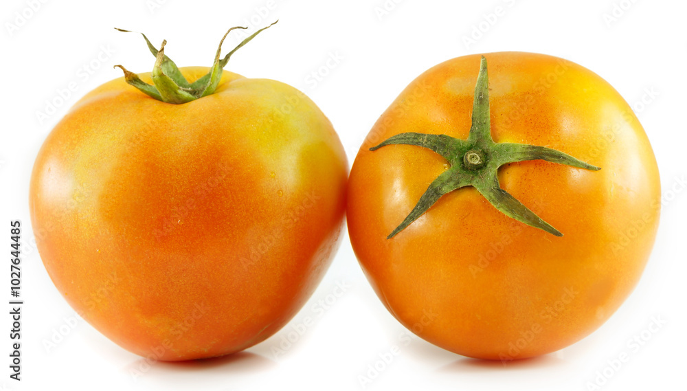 fresh tomato isolated on white background fresh tomato isolated on white background