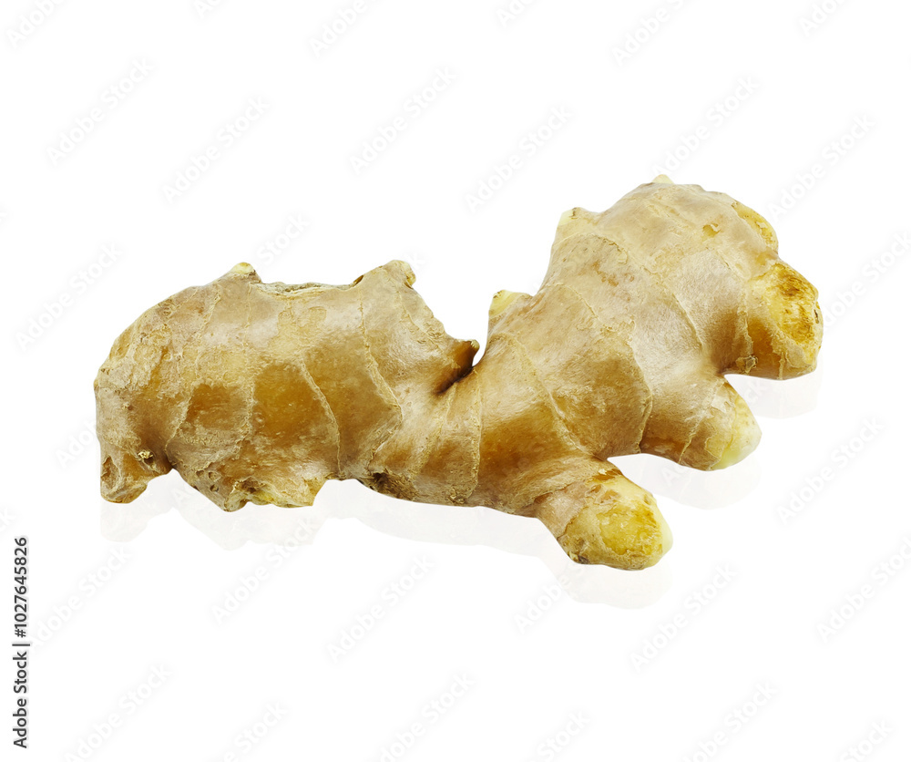 fresh ginger isolated on white background. fresh ginger isolated on white background.