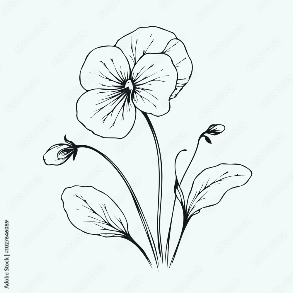 Fototapeta premium Adobe Illustrator Artwork set of contour spring flowers pansies line art floral, leaves black and white illustration Violet set of decorative elements of plants stylized Violet Wittrock