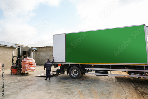 Forklift Loading Mesh Bags of Fresh Onion into the Truck