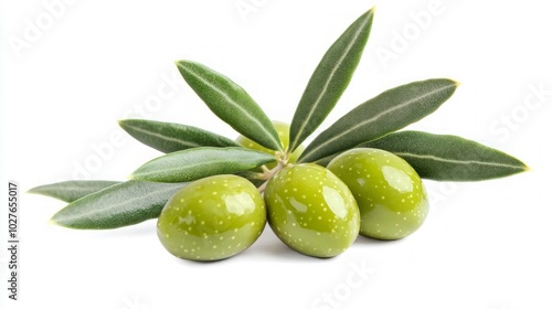 Wallpaper Mural A sprig of olive tree with four green olives and leaves on a white background. Torontodigital.ca